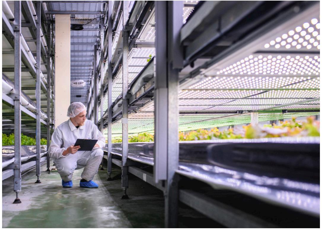 Greenhouse farming 溫室農業